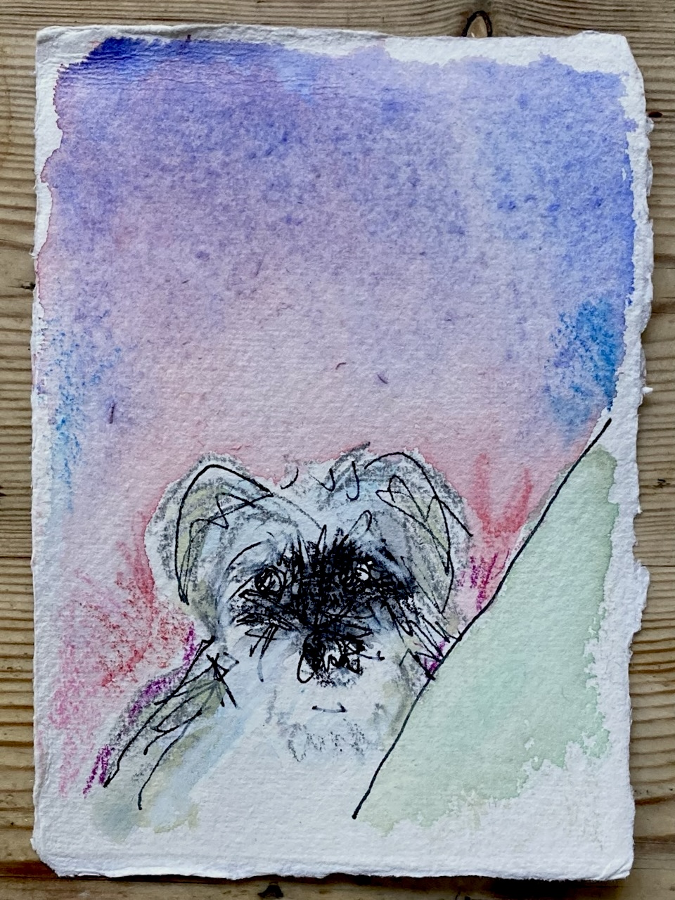 Drawing of a dog, a schnauzer, waiting at a bedside.