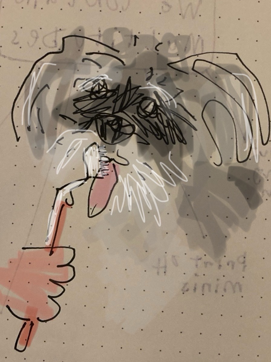 Drawing pf a schnauzer licking a toothbrush.