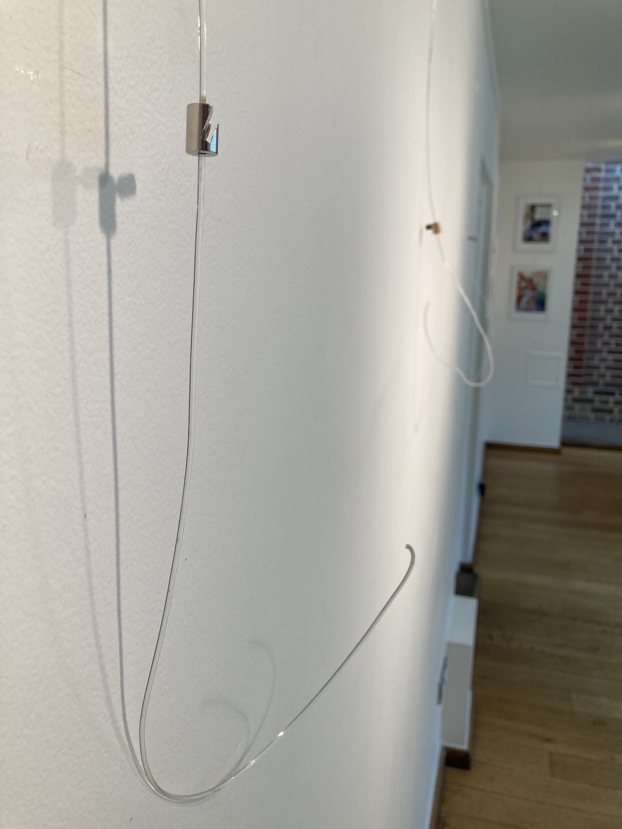 Picture wires hanging empty while I put up Contain Multitudes.jpeg