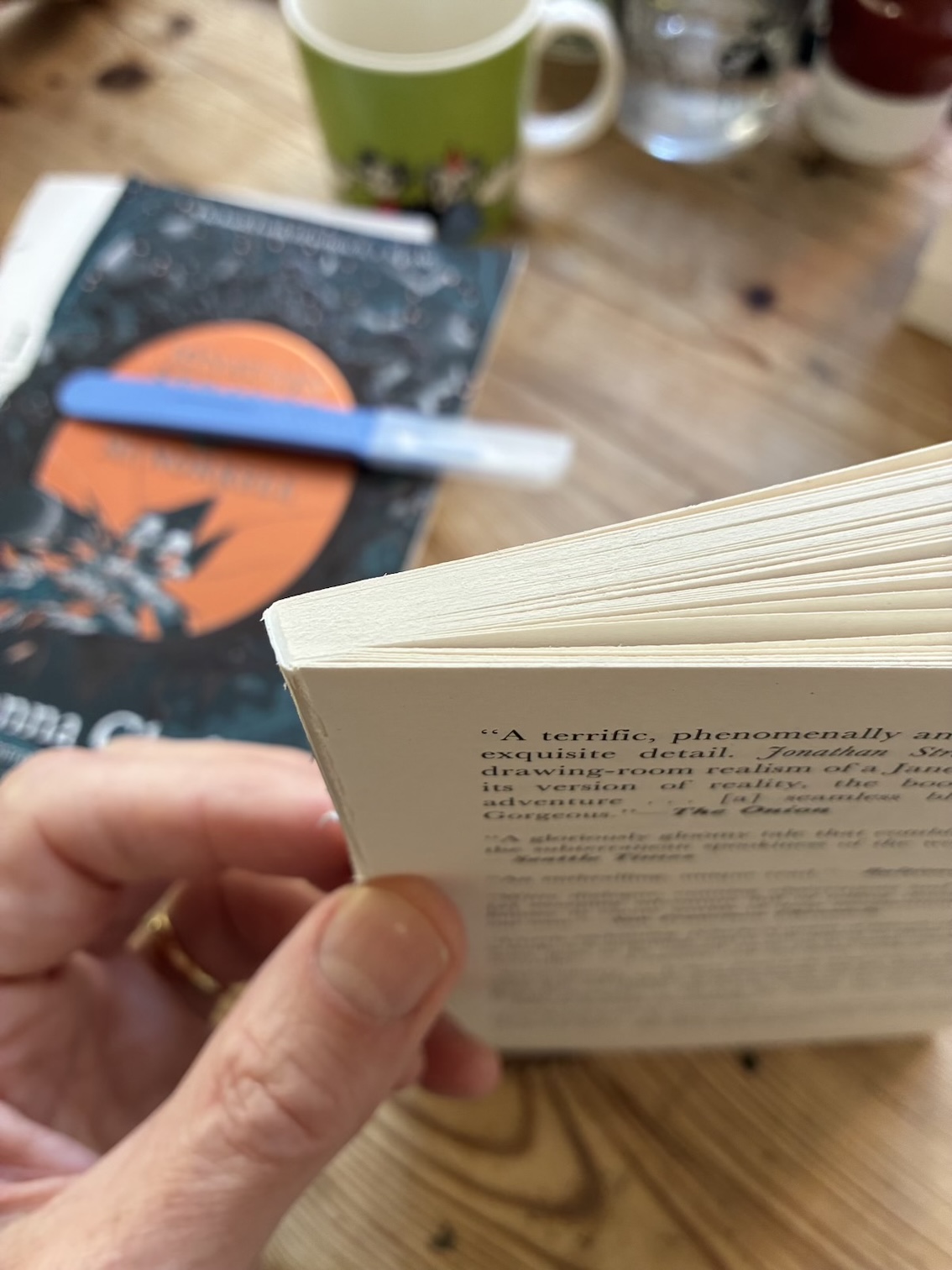 Photo of a slim section of the larger book, held together with a fillet of the original perfect binding.