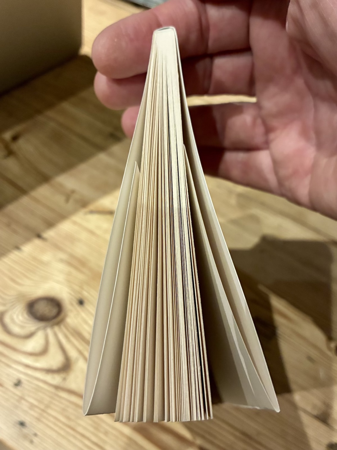 The finished section held upright from the top edge, so the pages fan out and the folded French flaps show on either side