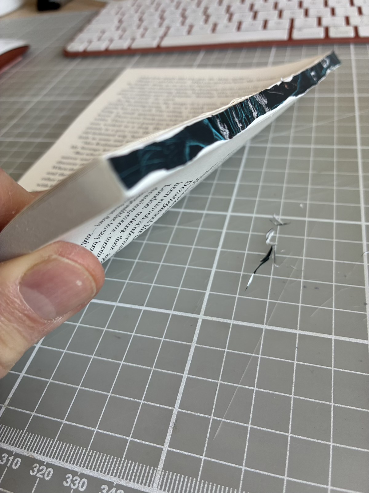 A hand holds one sliced segment of a paperback, showing the uncovered front and back pages of it.