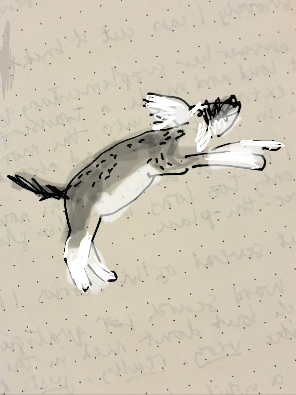 Peanut mid-leap, legs outstretched, making a run for it.