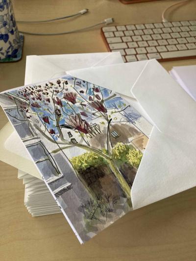 A postcard of a magnolia picture.